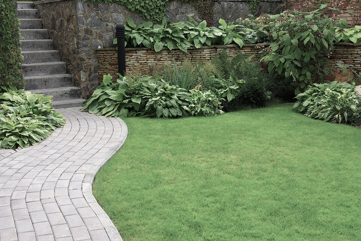 Welcome to JHS Landscaping